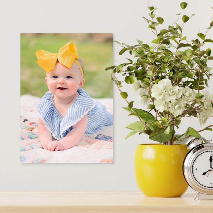 Chromaluxe EXT Gloss Photo Panel Lifestyle