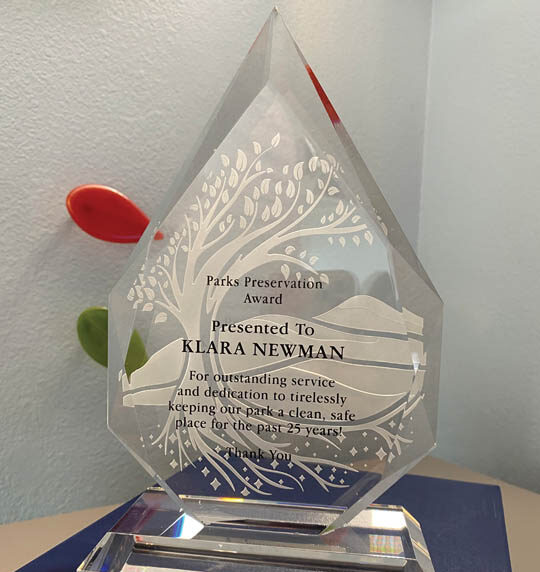 Forest Award Live stream picture e1756837186329