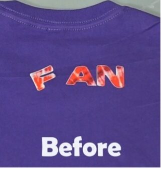 Picture1 e1761148459411