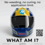 WHAT AM I aspect ratio 250 250