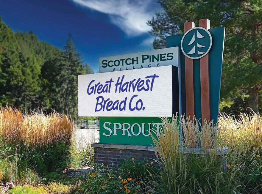Scotch Pines Great Harvest 4 e1774014378603