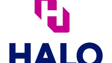 HALO logo