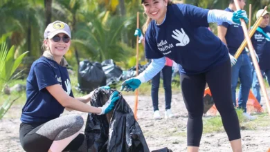 gildan beach clean up