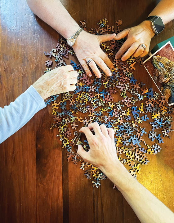 Mumm2 Curiosity Puzzle Company puzzle play