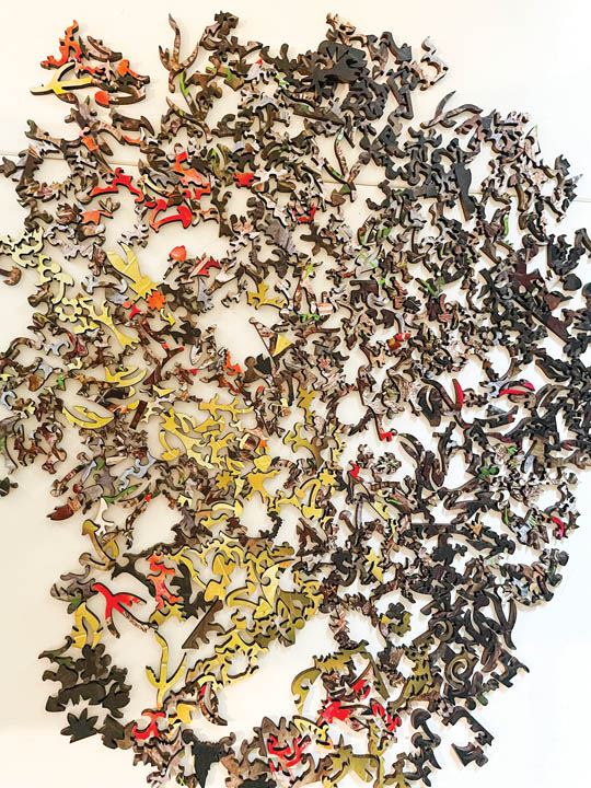 Mumm3 Curiosity Puzzle Company pieces