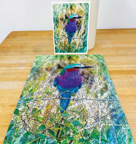 Mumm5 Curiosity Puzzle Company hummingbird puzzle e1784841141210