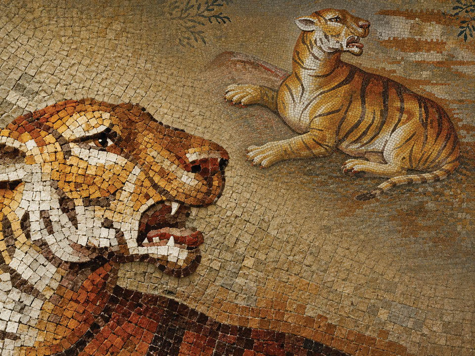 tiger mosaic